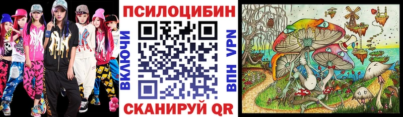 Купить где  Железногорск-Илимский  Галлюциногенные грибы Psilocybine cubensis 