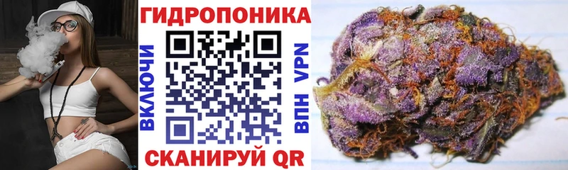 Купить  Железногорск-Илимский  Канабис VHQ 
